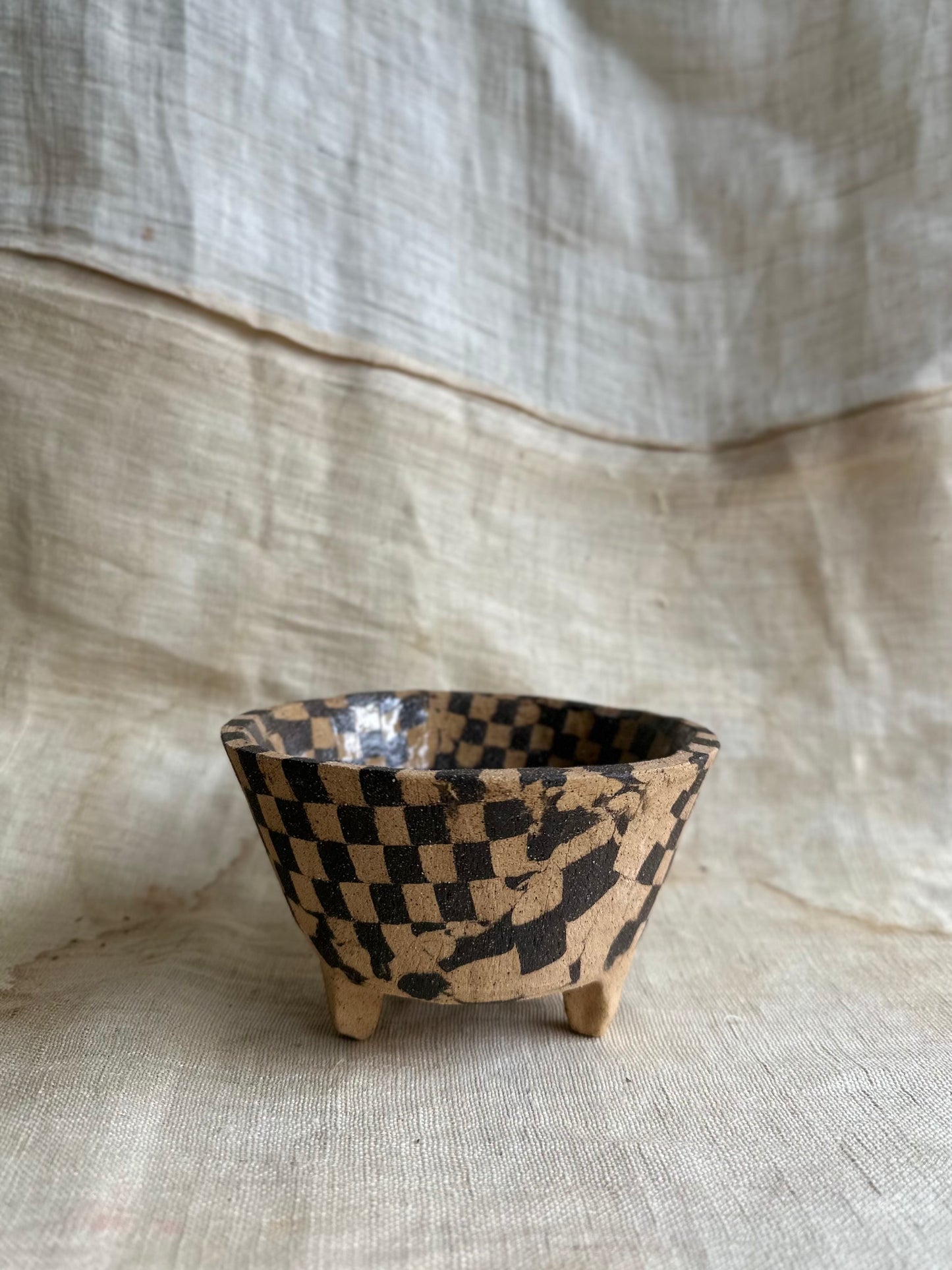 (Preorder) miniature Joshua tree w/checkers planter