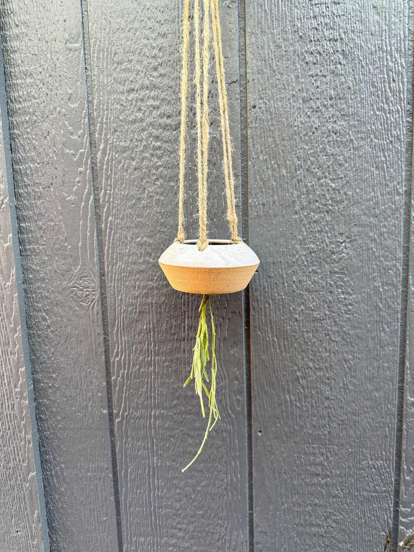 Mini UFO planter - Mipa's pots and plants