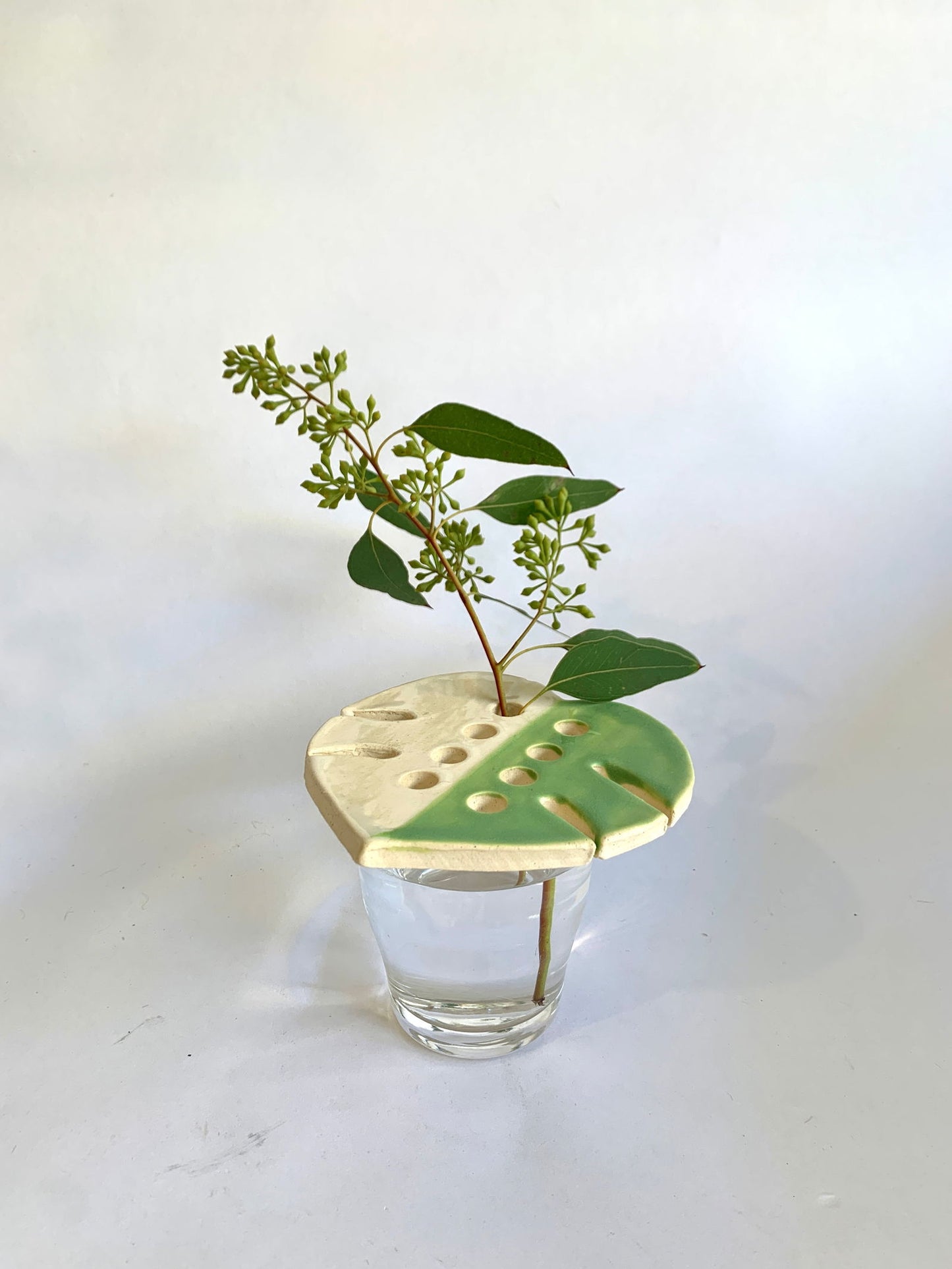 Monstera propagation frog - Mipa's pots and plants