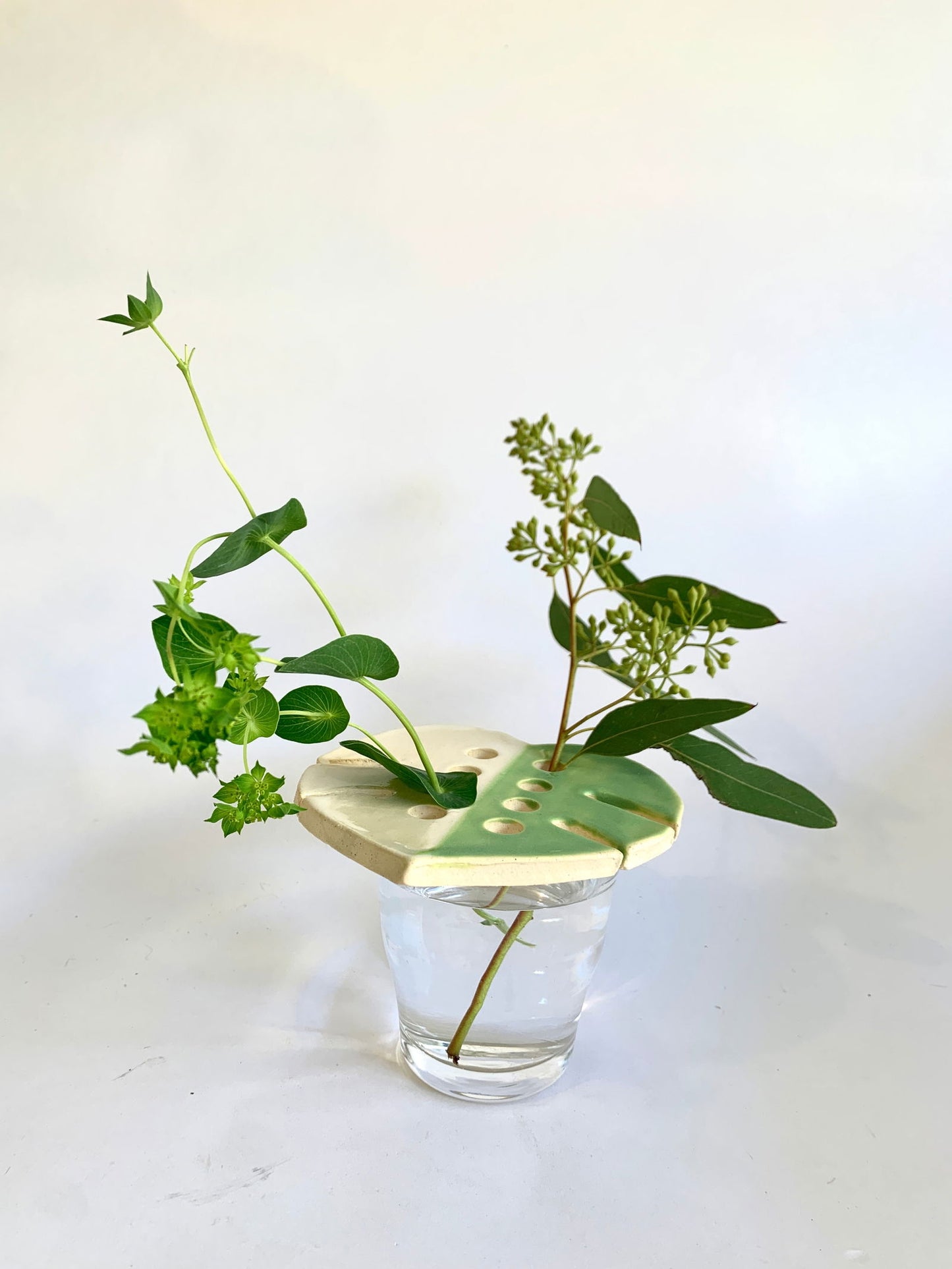 Monstera propagation frog - Mipa's pots and plants