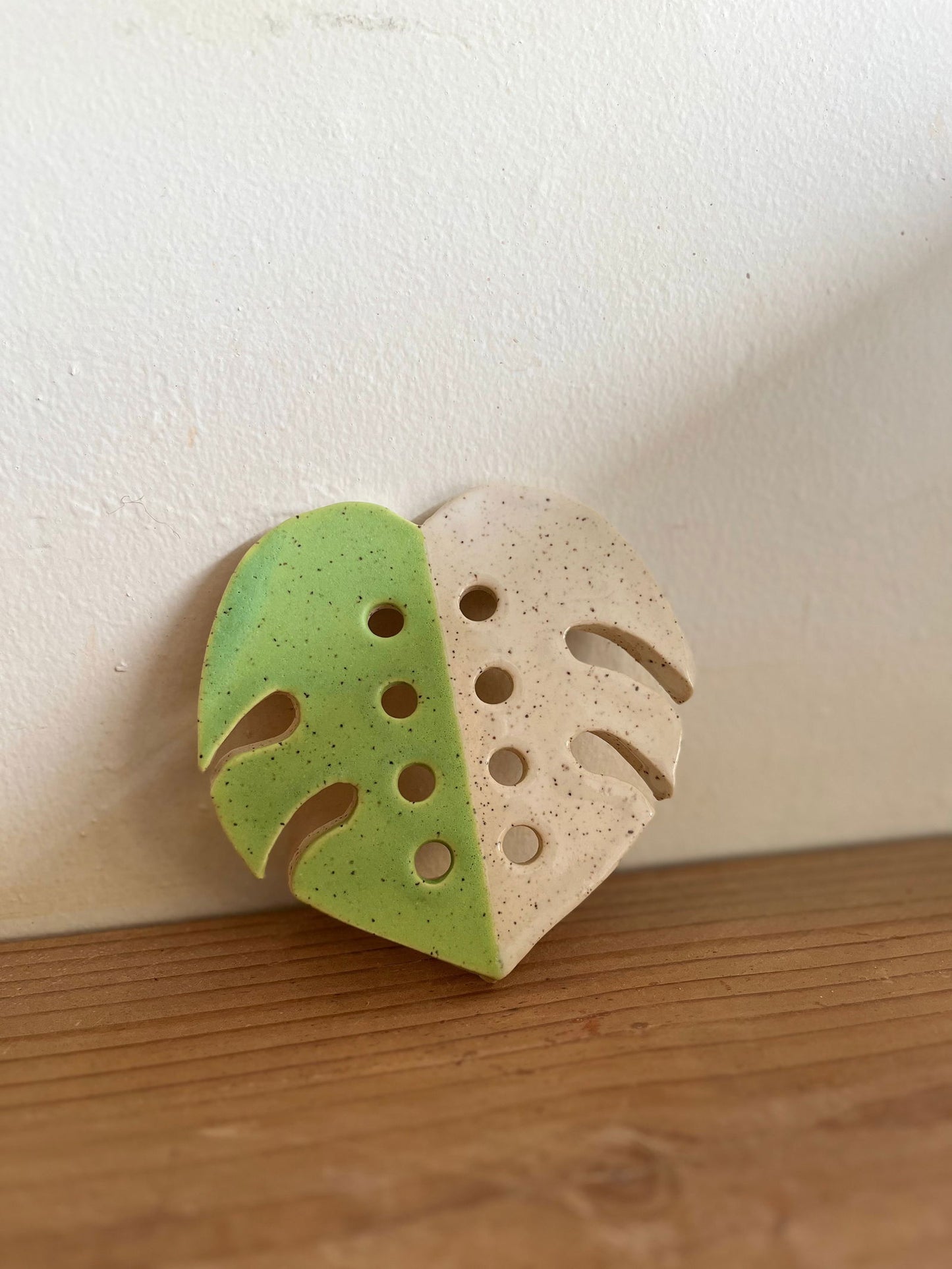 Monstera propagation frog - Mipa's pots and plants