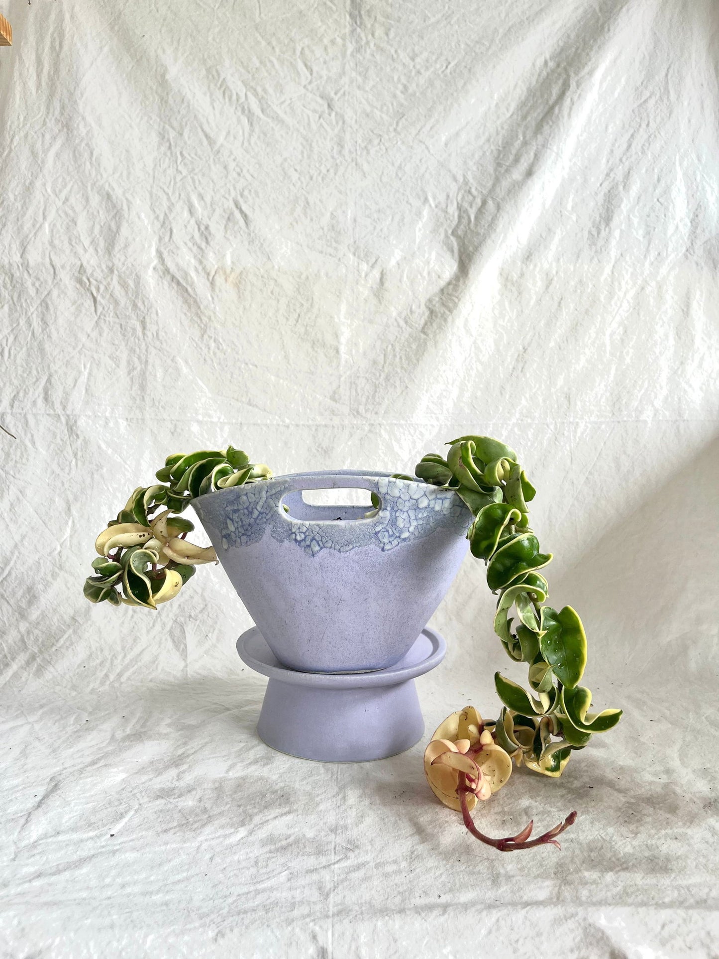 (Pre-order) 1 purse planter - Mipa's pots and plants