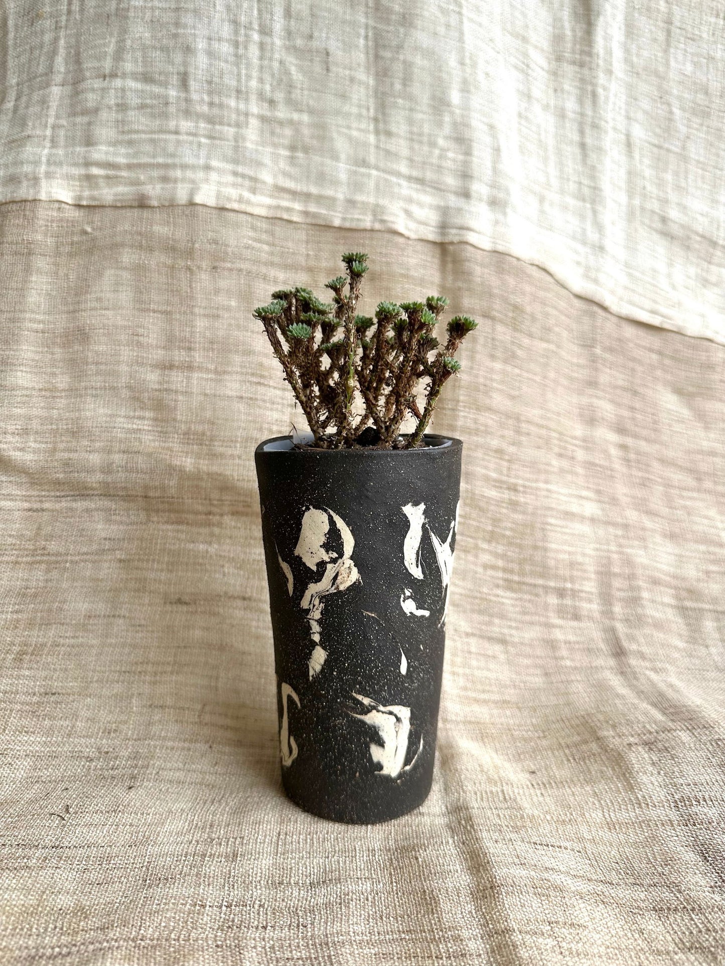 Preorder for Yvette - Mipa's pots and plants