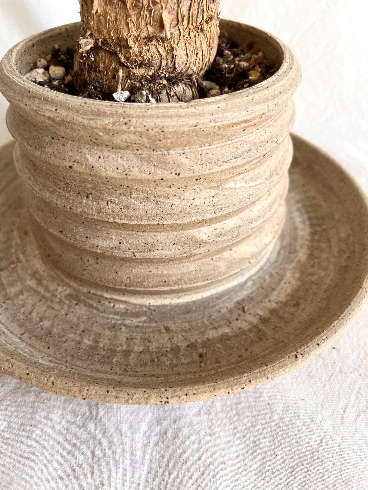 (Sale) 23 pagoda planter - Mipa's pots and plants