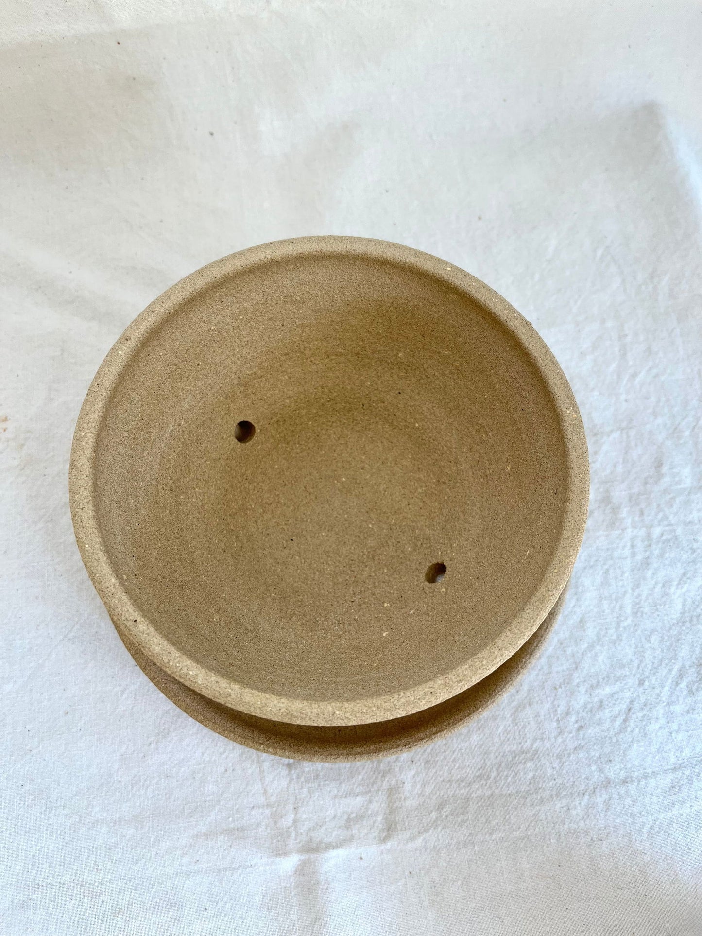 (Sale)28 oatmeal caudex planter - Mipa's pots and plants