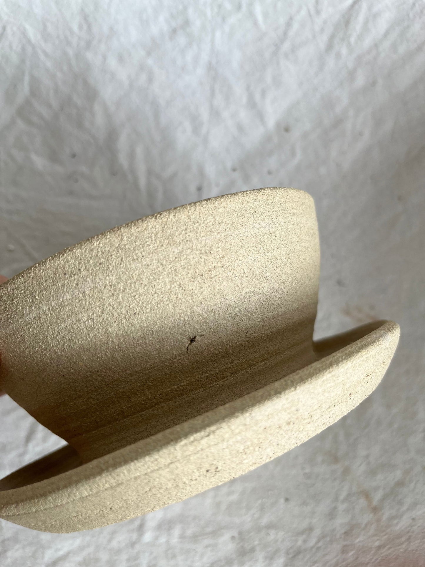 (Sale)28 oatmeal caudex planter - Mipa's pots and plants
