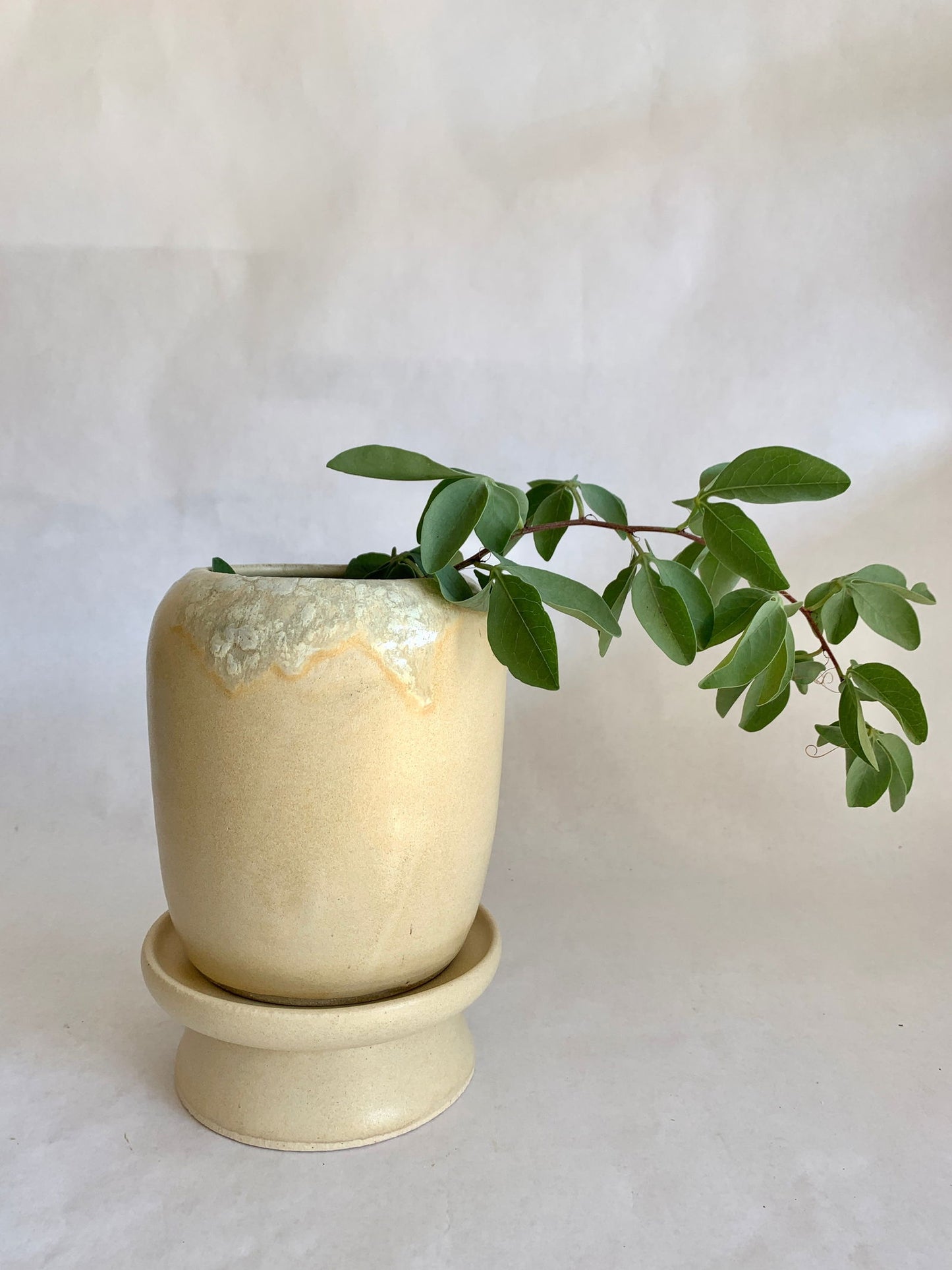 (Sale) 40 Planter + pedestal saucer set - Mipa's pots and plants