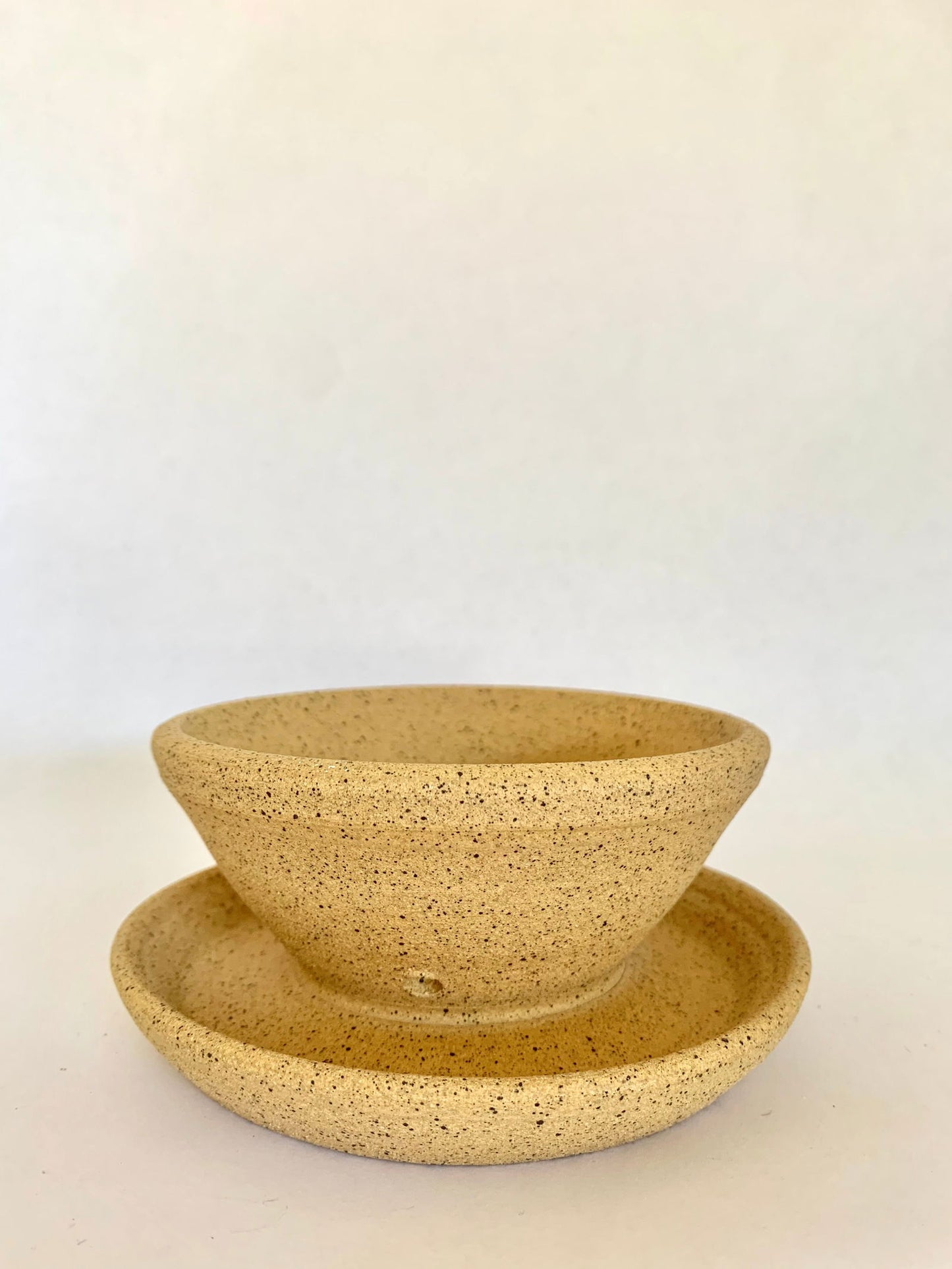 (Sale) 49 caudex planter - Mipa's pots and plants