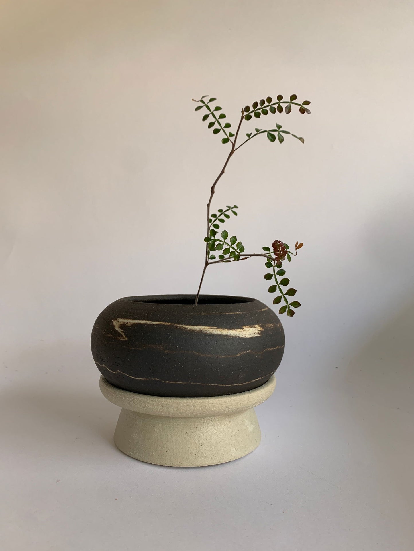 (Sale) 65 pedestal saucer set - Mipa's pots and plants
