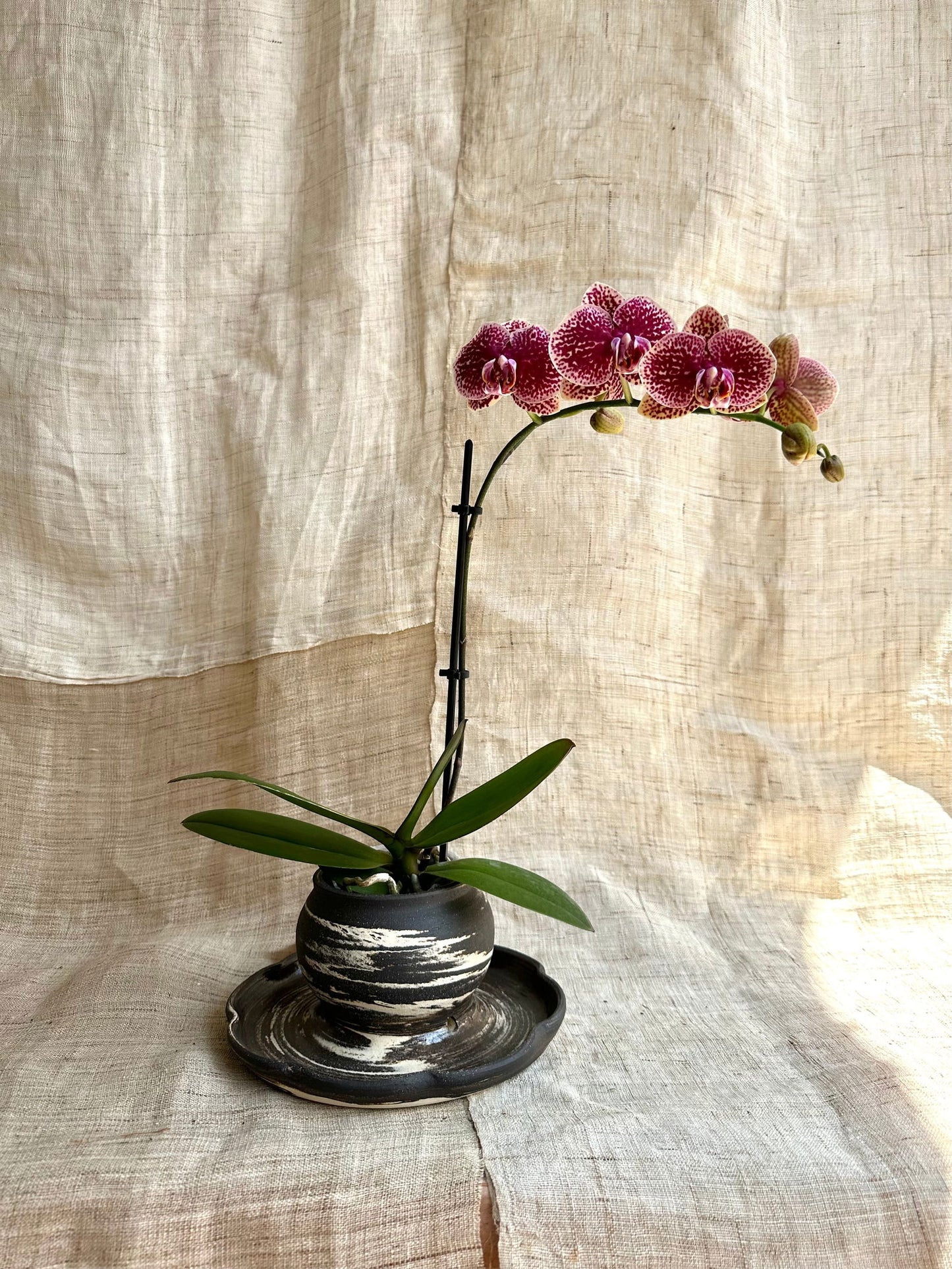(Sale) 68 inkwash planter w/saucer - Mipa's pots and plants