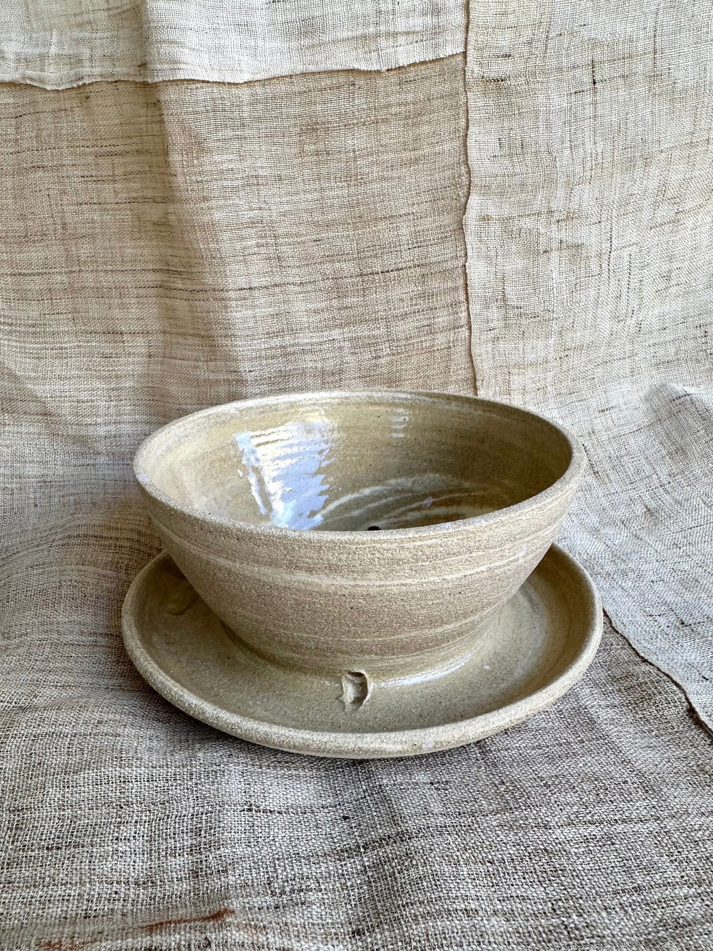 (Sale) 71 mud cream caudex planter - Mipa's pots and plants