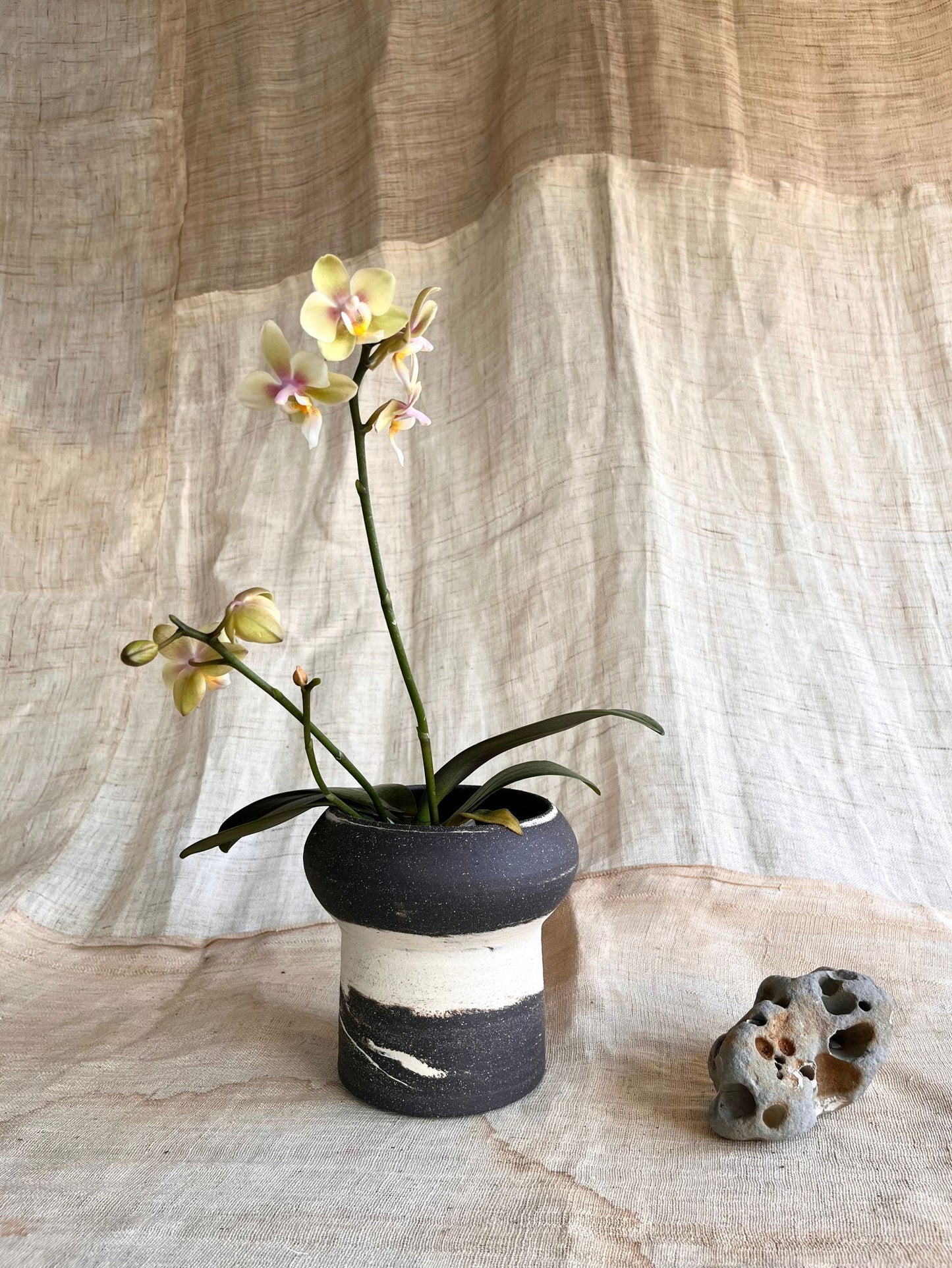 (Seconds) 19 ink wash planter - Mipa's pots and plants