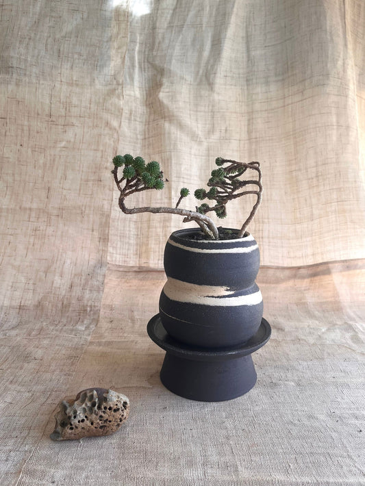 10 ink wash pedestal saucer set - Mipa's pots and plants