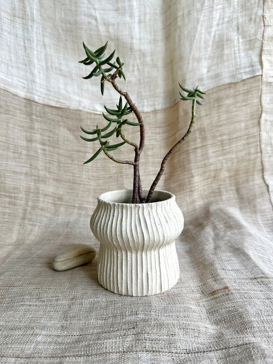 10 off-white planter - Mipa's pots and plants