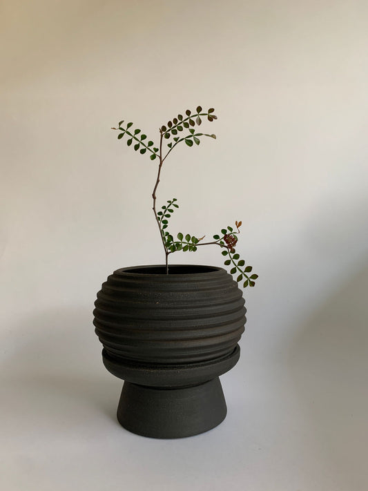 10 pedestal saucer set - Mipa's pots and plants