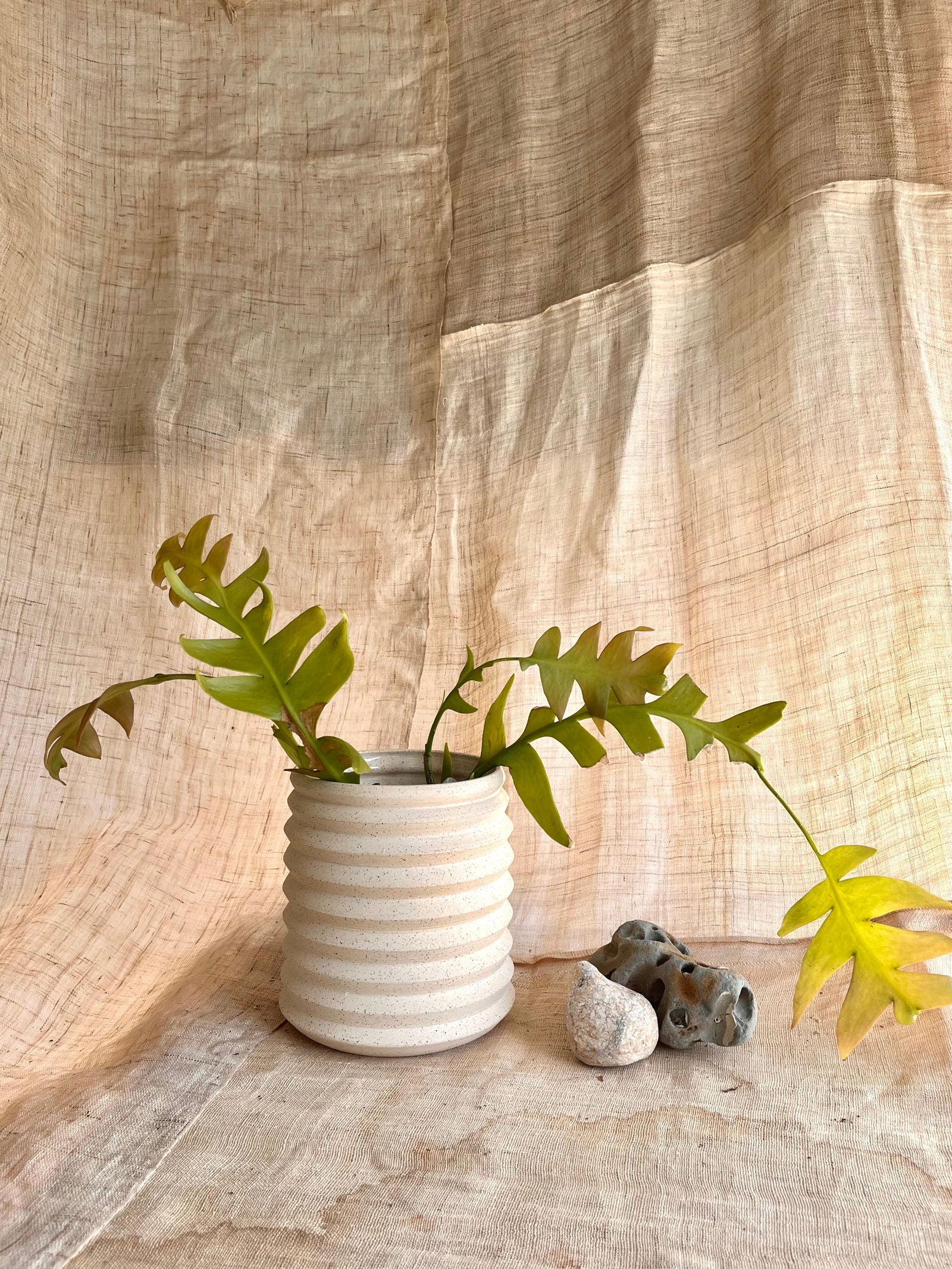 15 C/C planter - Mipa's pots and plants