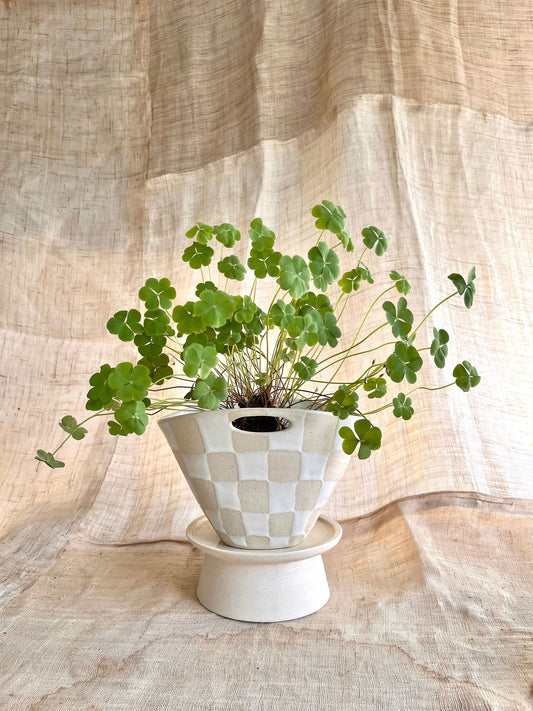 1 checkers purse planter set - Mipa's pots and plants