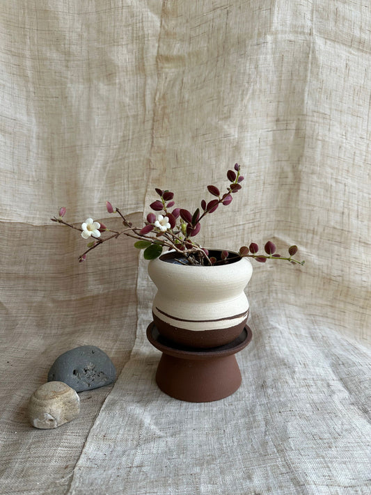 1 chocolate swirl pedestal saucer set - Mipa's pots and plants