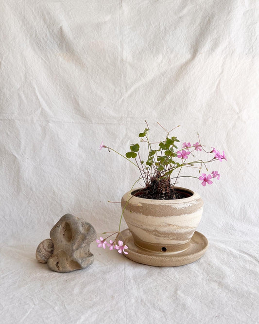 1 marble planter - Mipa's pots and plants