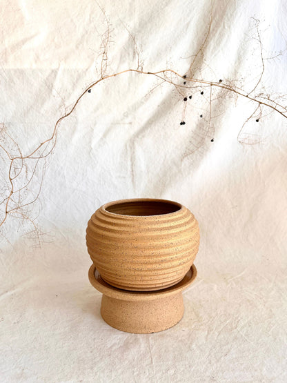 20 pedestal saucer set - Mipa's pots and plants