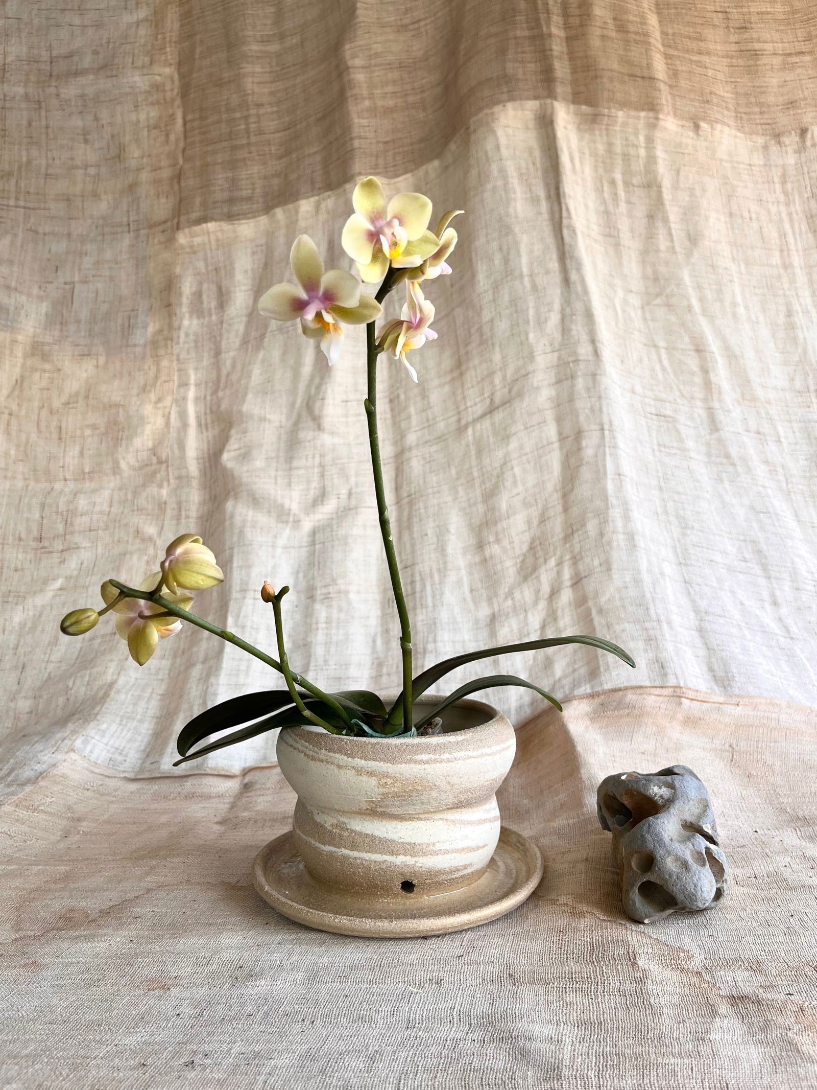 22 mudcream planter - Mipa's pots and plants