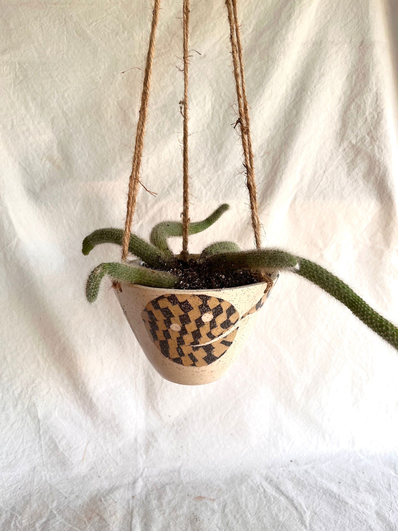 28 face planter - Mipa's pots and plants