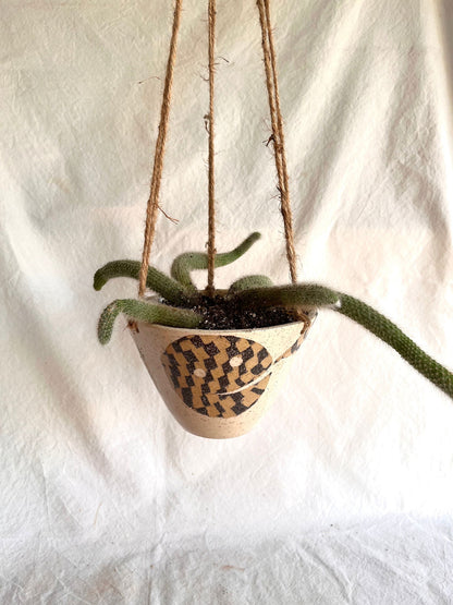 28 face planter - Mipa's pots and plants