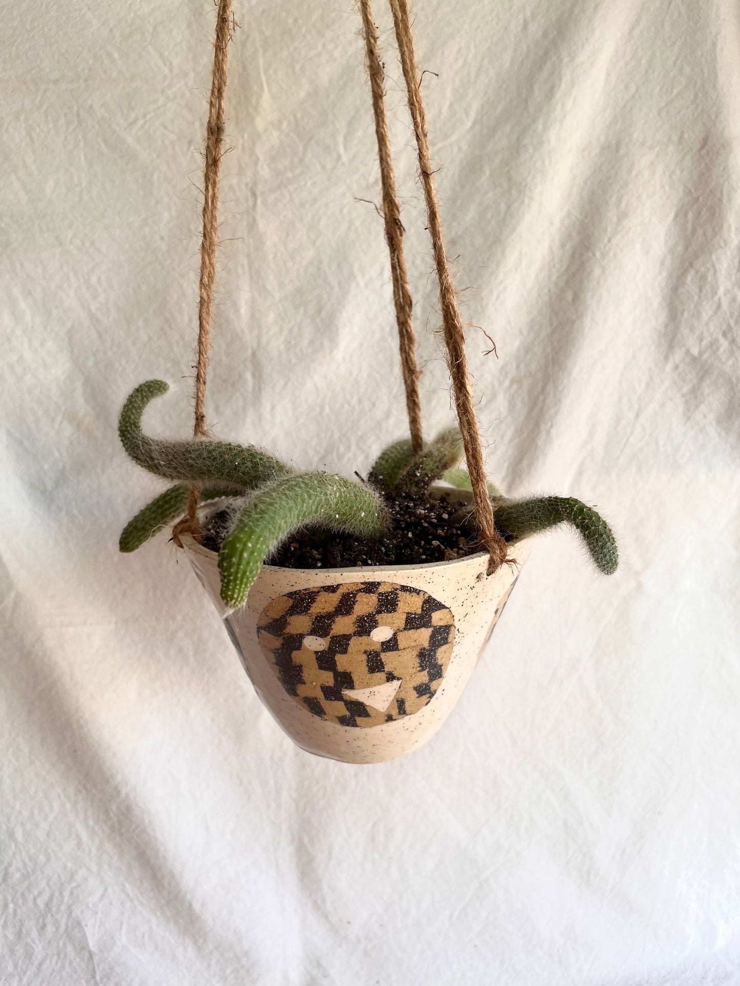 28 face planter - Mipa's pots and plants