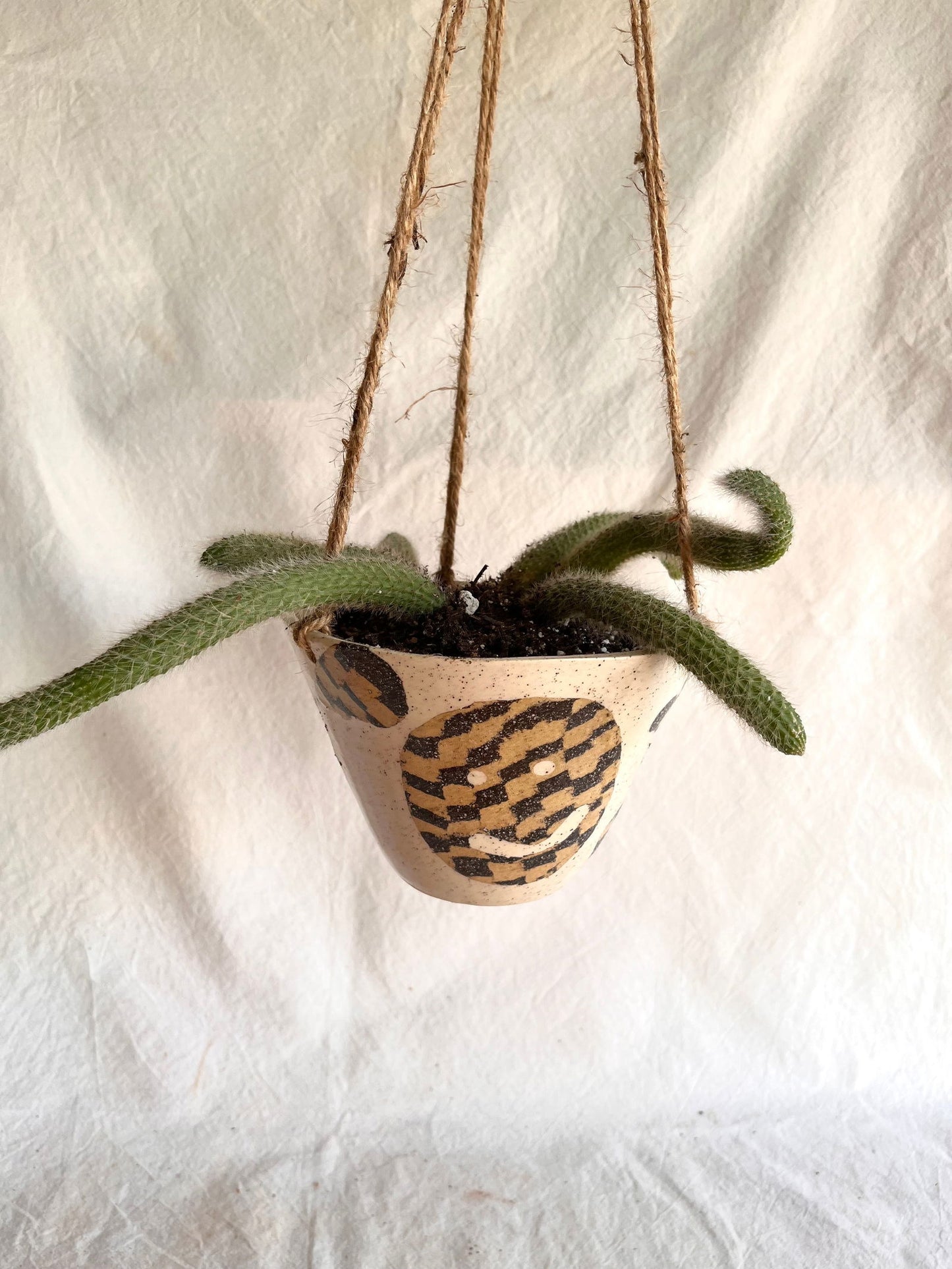 28 face planter - Mipa's pots and plants