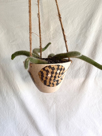 28 face planter - Mipa's pots and plants