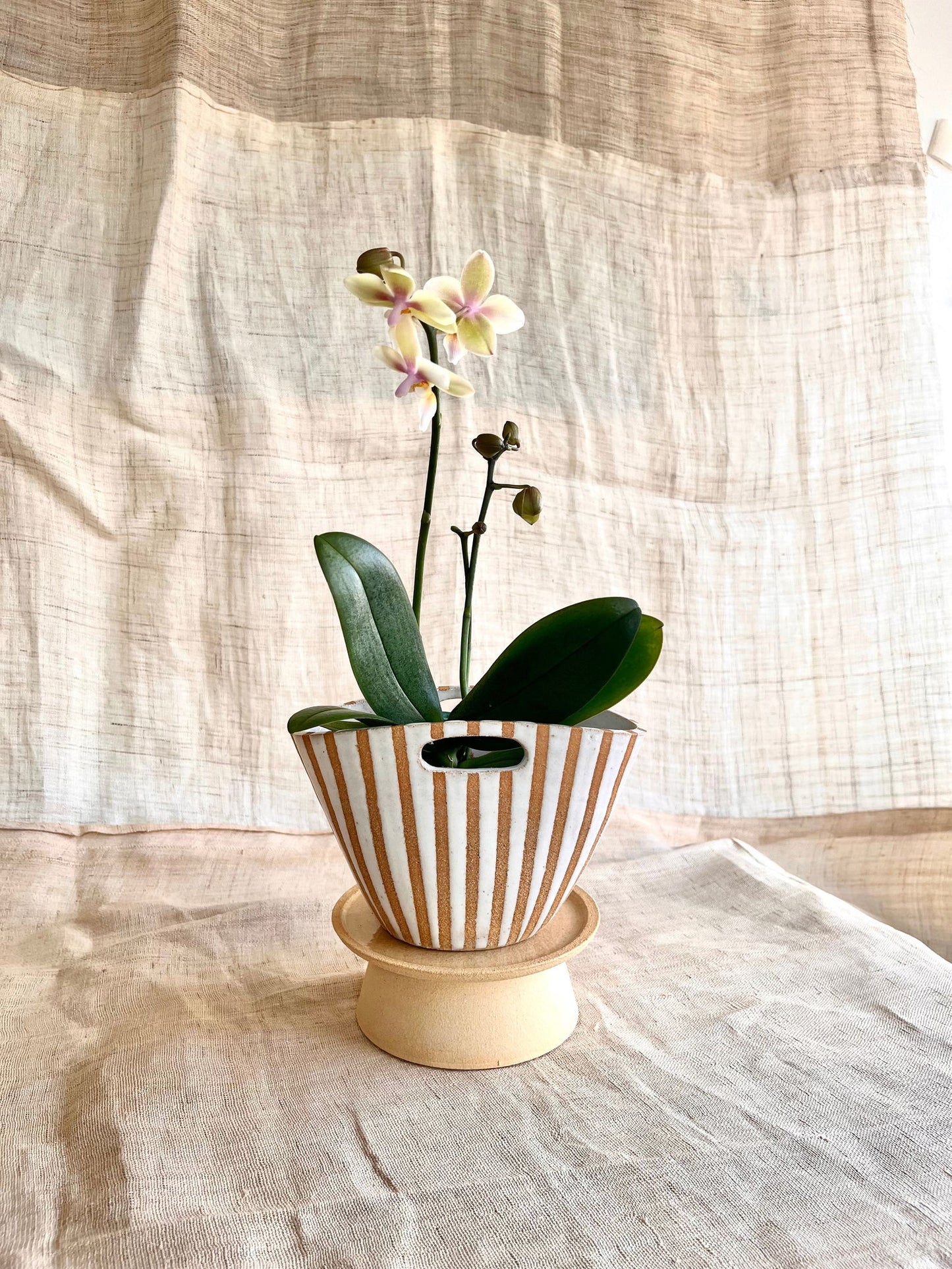 2 Sand purse pedestal saucer set - Mipa's pots and plants