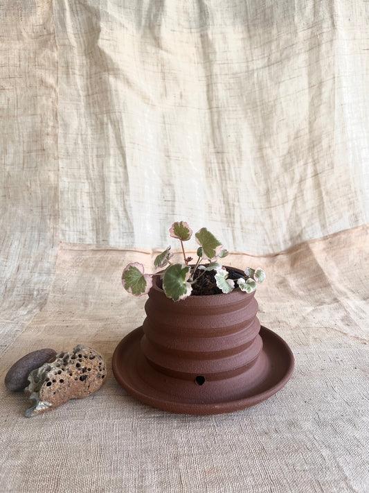 17 chocolate planter