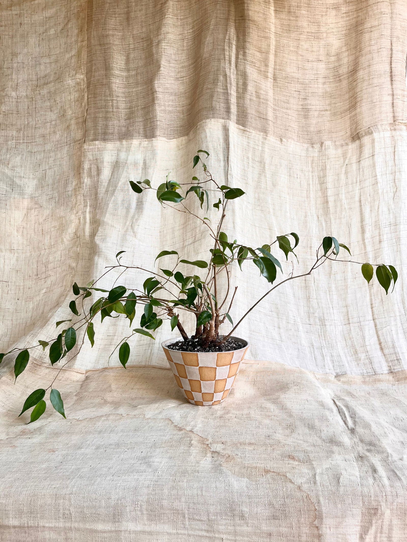 38 S.B checkers planter - Mipa's pots and plants
