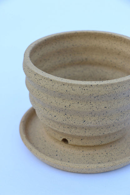 38 pagoda planter w/ saucer - Mipa's pots and plants