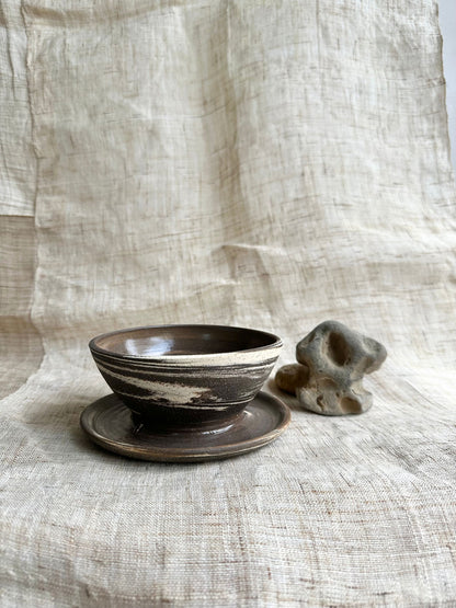 39 inkwash caudex planter - Mipa's pots and plants