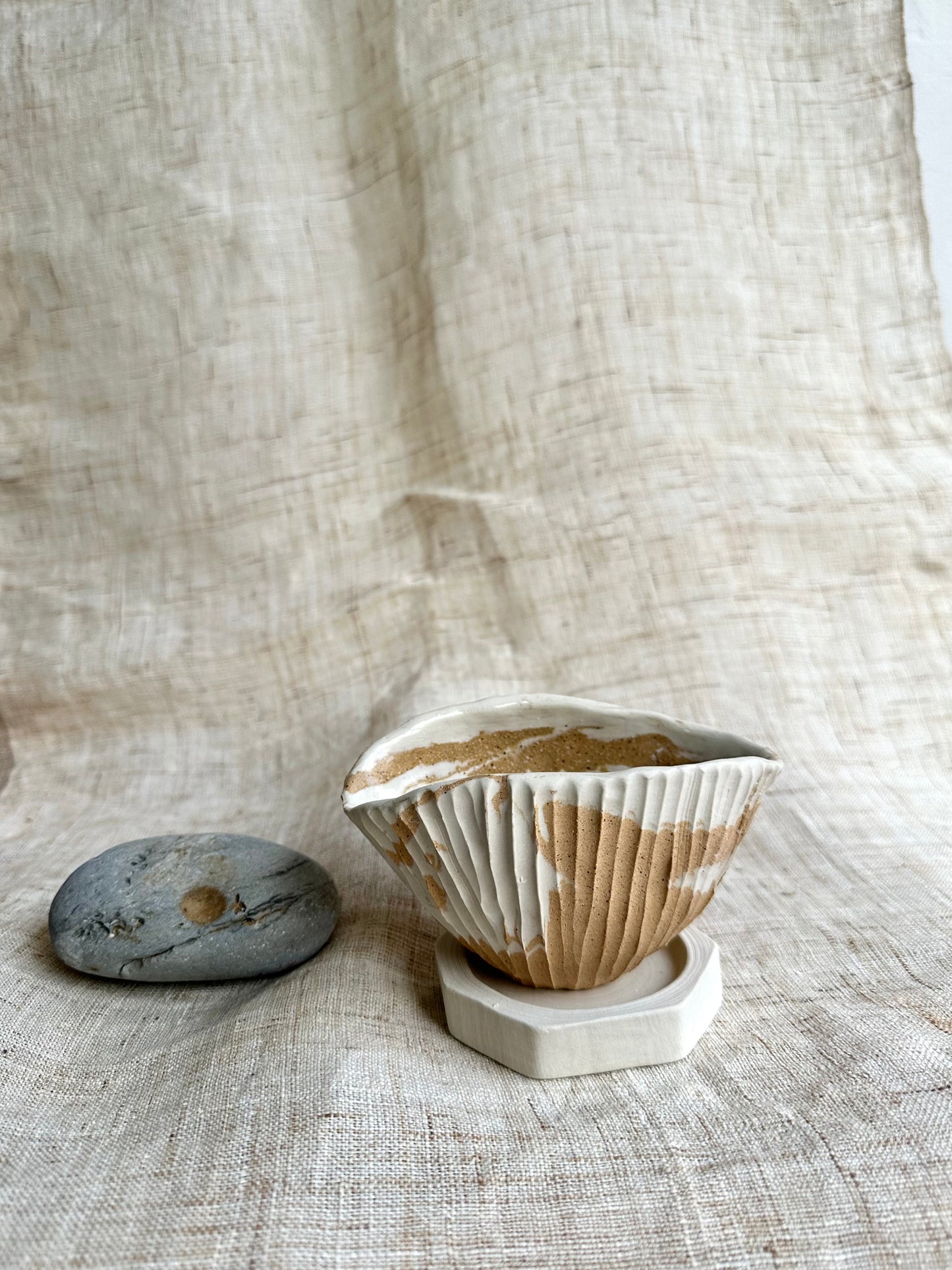 62 seashell planter set