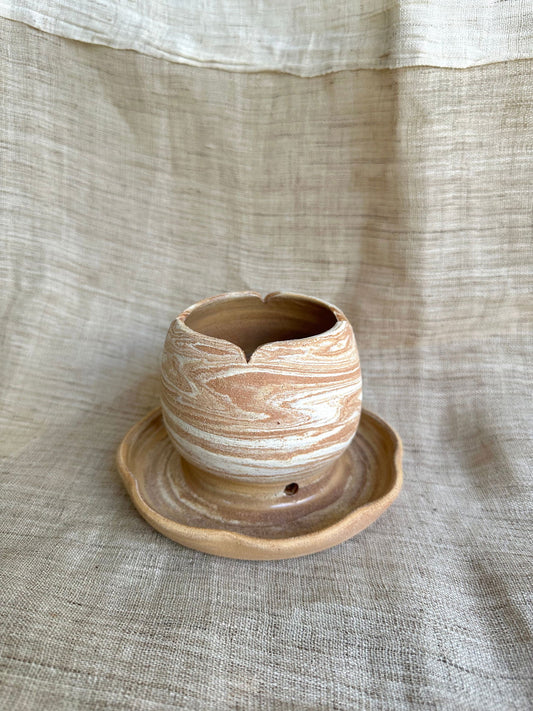 43 terra cream tulip planter w/ saucer - Mipa's pots and plants