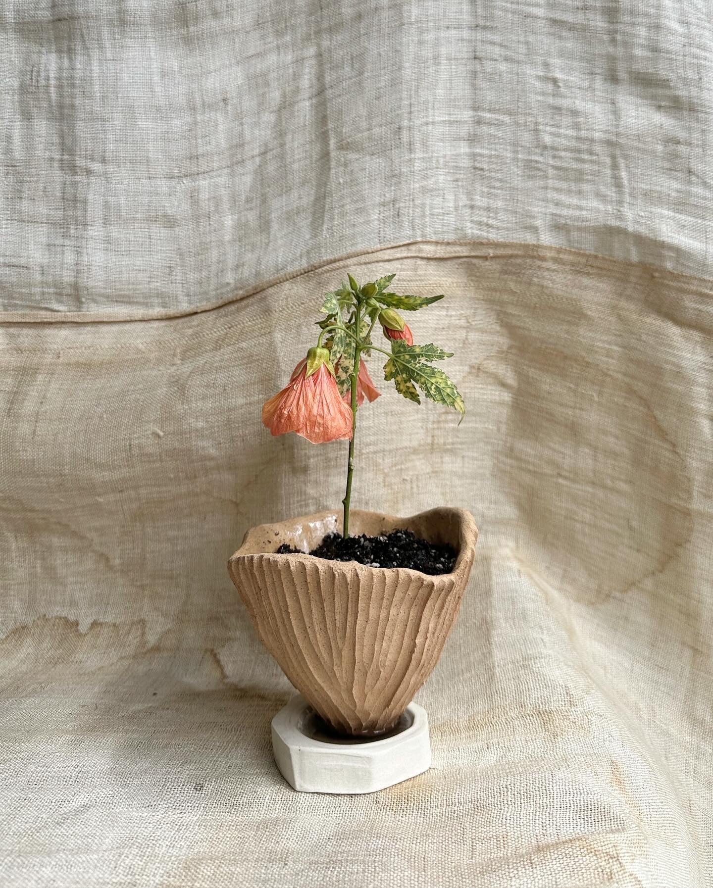 44 S.B flower planter set - Mipa's pots and plants