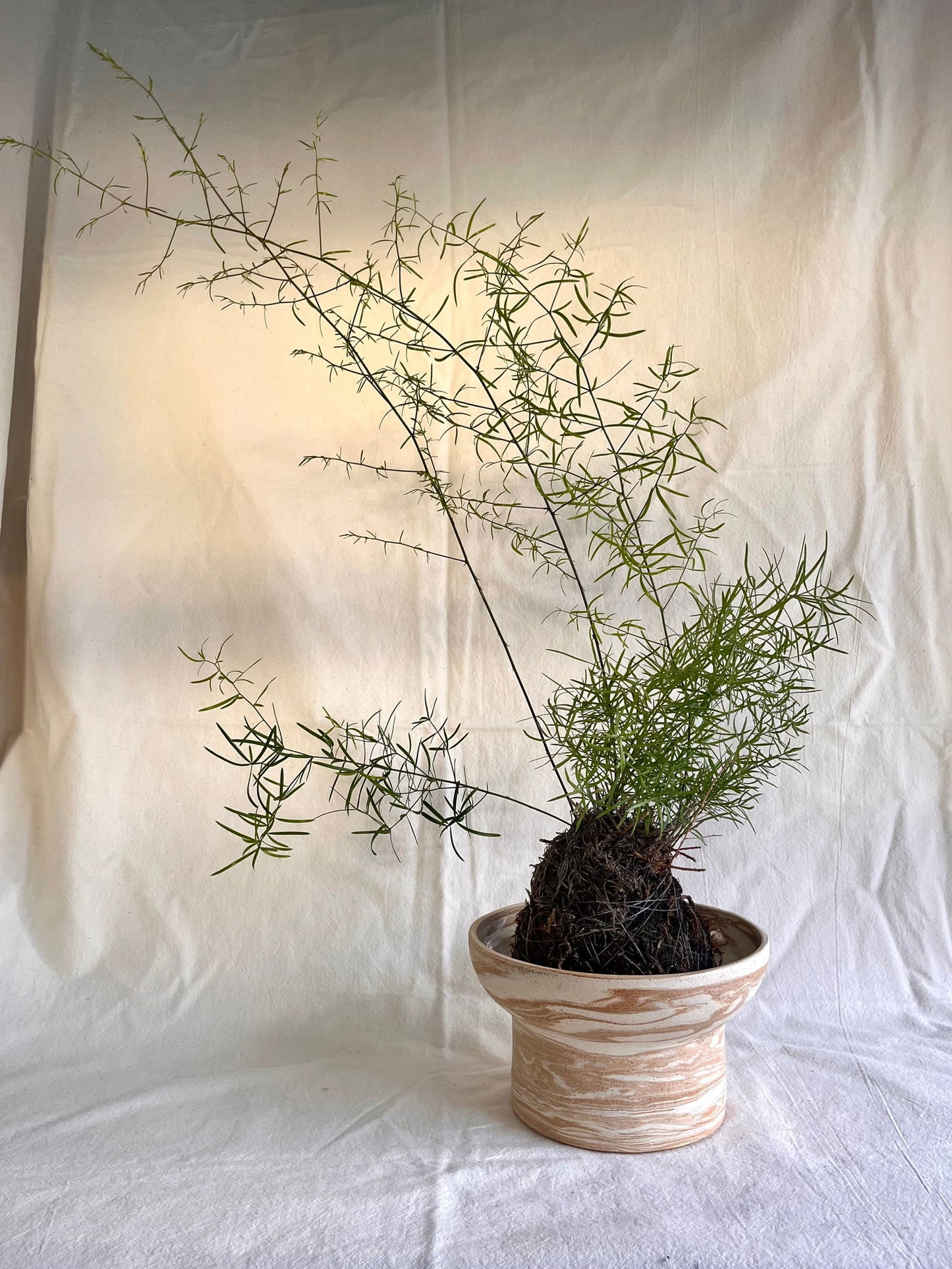44 medium sandstorm planter - Mipa's pots and plants