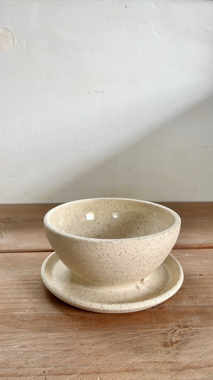 46 caudex planter - Mipa's pots and plants