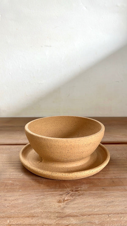 46 caudex planter - Mipa's pots and plants