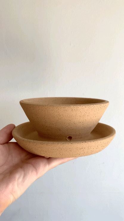 46 caudex planter - Mipa's pots and plants