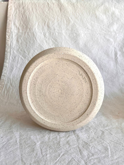 46 caudex planter - Mipa's pots and plants