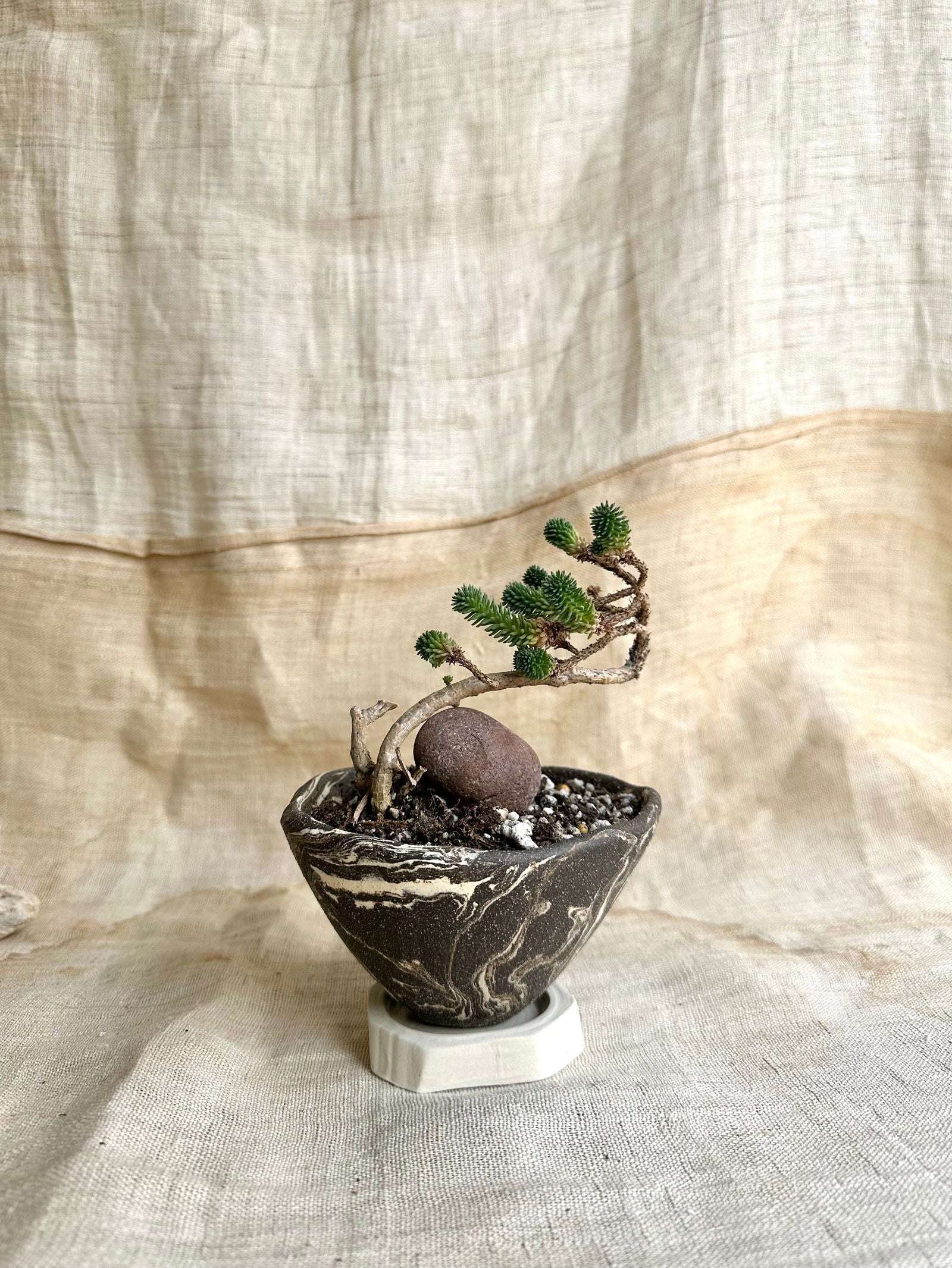 50 inkwash planter set - Mipa's pots and plants