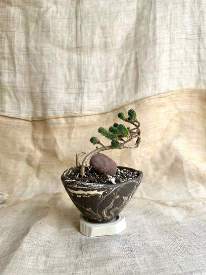 50 inkwash planter set - Mipa's pots and plants