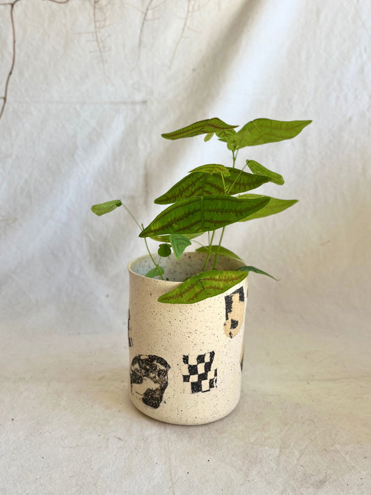 53 checkers planter (NO drainage hole) - Mipa's pots and plants