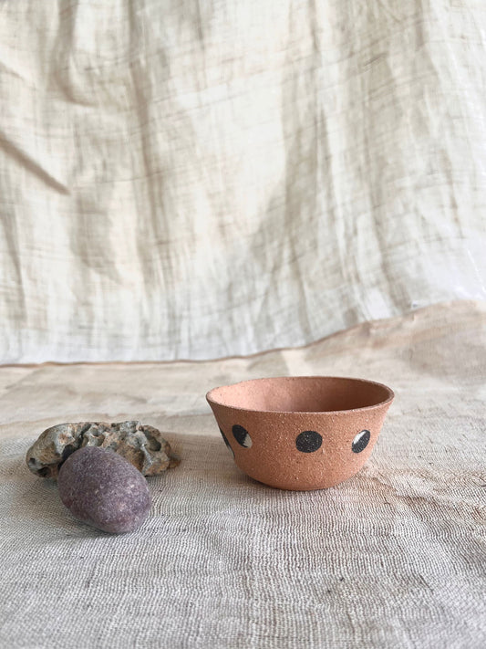 54 polkadot planter - Mipa's pots and plants