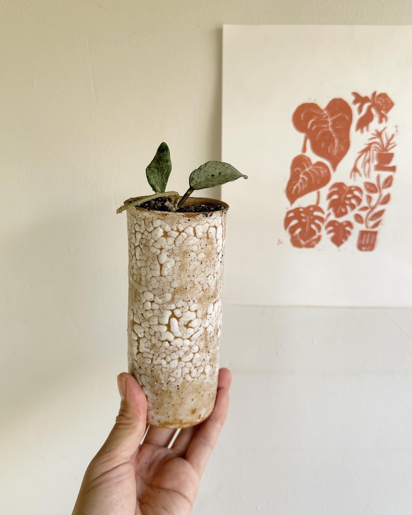 54 snow skinny planter - Mipa's pots and plants