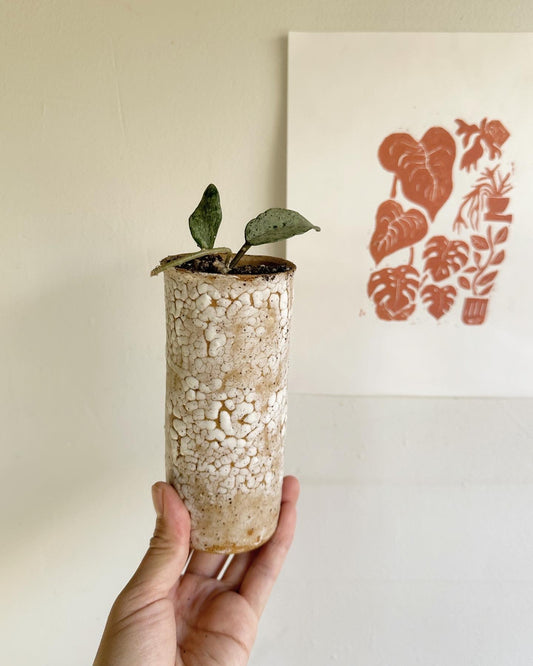 54 snow skinny planter - Mipa's pots and plants