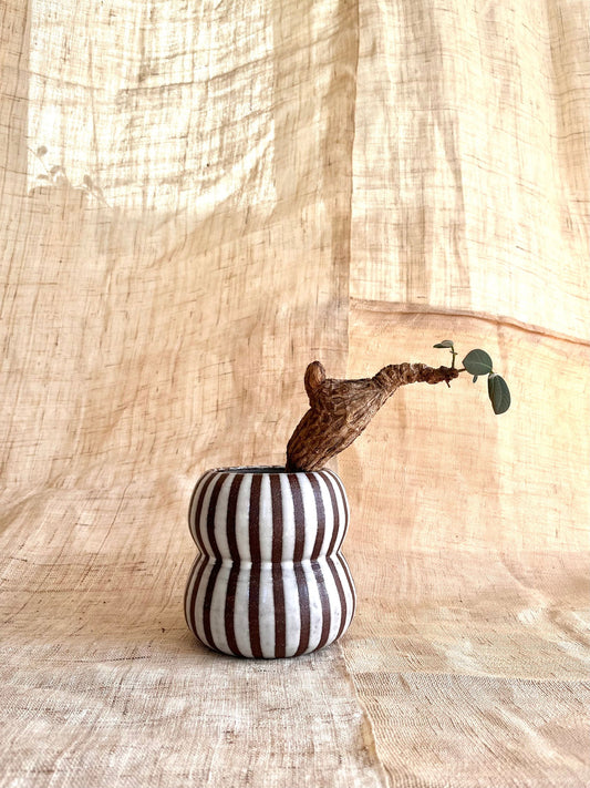 55 glossy white striped planter - Mipa's pots and plants